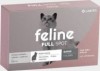 Thumbnail Feline Fullspot0